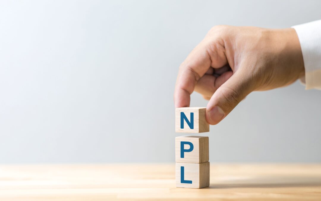 Legislative Decree of Transposition of the NPL Secondary Market Directive Approved by the Council of Ministers